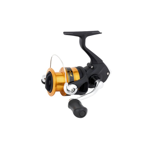 Zoom Lizards  Southern Reel Outfitters